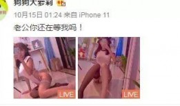 玩偶爆料视频在线观看,揭秘幕后秘密，带你走进虚拟世界的真实面纱